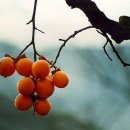 은식농장 이미지