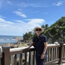 낙산사홍련암 Daum카페