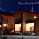 바다와푸른솔 이미지