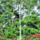 운남그린 이미지