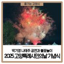 국가대표 한울태권도 | 2025 고양특례시민의날 기념식 생생 후기 (feat.박기영 나태주 불꽃놀이)