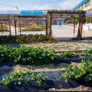 밀주초등학교 이미지