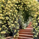 건들바위 네거리(서봉사 방향) 이미지