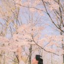 더애틋스냅