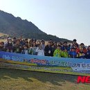 스텔라제주