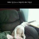 매너짱 이미지