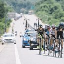 코리아1위인삼