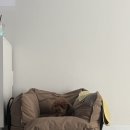 부춘1로 | [거제] 공간부춘: 강아지동반 거제독채 자쿠지 1박2일 내돈내산