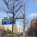 홍대쌀국수(이마트분당점) | [설명절 이마트] 이마트 분당점, 2026년 설 명절 연휴 시작 장보기
