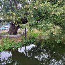 봉좌마을 이미지