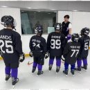 금메달부동산공인중개사사무소 이미지