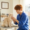 한국장애인미용교육기업 | 수원 고양이미용학원, 진짜 전문가의 길! 신서연 원장이 직접 알려드려요