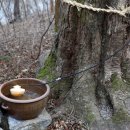 협성영농조합법인 이미지