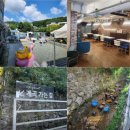 2026.8.26(수) 고기리 계곡 카페 번개 이미지