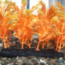 챔피언노래연습장 이미지