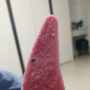 고수라김밥(용봉점) | 서영롱의 4월 일상(1~15) ★★