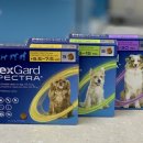 정든약국 이미지