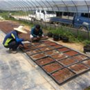 오가네농장 이미지