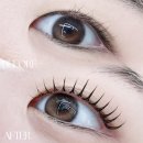 부여대우식당 | 대전 둔산동 속눈썹펌 내돈내산 후기 | 200% 만족한 이유