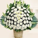 2025년9월5일 민이순총무 모친께서 운명하셨습니다. 이미지