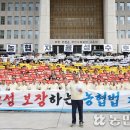 당정 ‘농협법 개정’ 속도 조절…지방선거 전 국회처리 사실상 무산 이미지