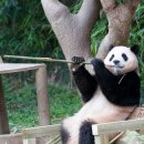 다복향마라탕 이미지