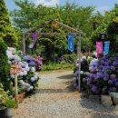 통영바다정원 이미지