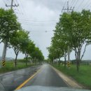 칠보마트 이미지