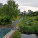 양화어린이공원화장실 이미지