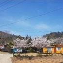 송이도친환경가족펜션 이미지