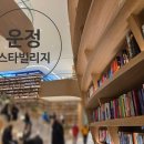 운정 와석순환로 이팝나무길 | [파주/운정] 2월의 기록, 스타필드 빌리지 운정 미리보기! 별마당 감성 가득한 핫플레이스 방문기