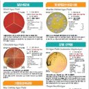 (주)청맥 이미지