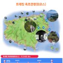 울릉도잠자리투어