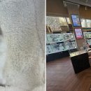 도그마루 강아지고양이 목동점 이미지