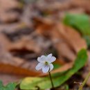 덕안근린공원 이미지