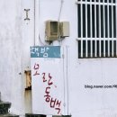 오조리마을회관 | 제주가볼만한곳 오조포구(오조리마을) 성산일출봉과 식산봉이 아름다운 마을
