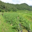 주일농장 이미지