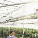 일심농장 이미지