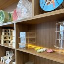 골든햄스터 분양 탬펫 충남아산점 이미지