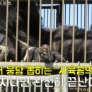 웅담농장 이미지