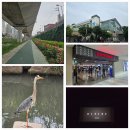 미동태권도 | 롯데시네마 청량리 하이파이브 영화정보 및 후기(주차정보, 하이파이브 아트카드 수령 이벤트), 정릉천...