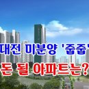 대전 미분양 '줍줍'의 시간... 돈 될 아파트는 어디? 이미지