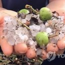 곡성-224 이미지