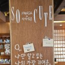 화사로운 | 화사로운 화사 X 사사로운 콜라보 | 귀여움은 모든 것을 이긴다!