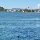 어린이날 맞이 삼천포 신수도 갑오징어 낚시 대실패 ~