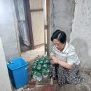 서울이용소