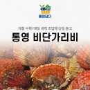 바다, 생명을 담다 이미지