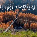장태산자연휴양림 이미지