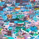 감내카페 벽화 이미지