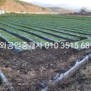 금와공인중개사사무소 이미지